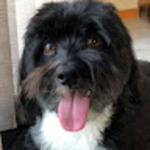 Meet your Posher, Donna